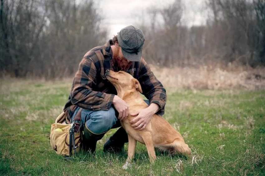 Apakah Kemajuan Teknologi Buruk untuk Pelatihan Anjing?