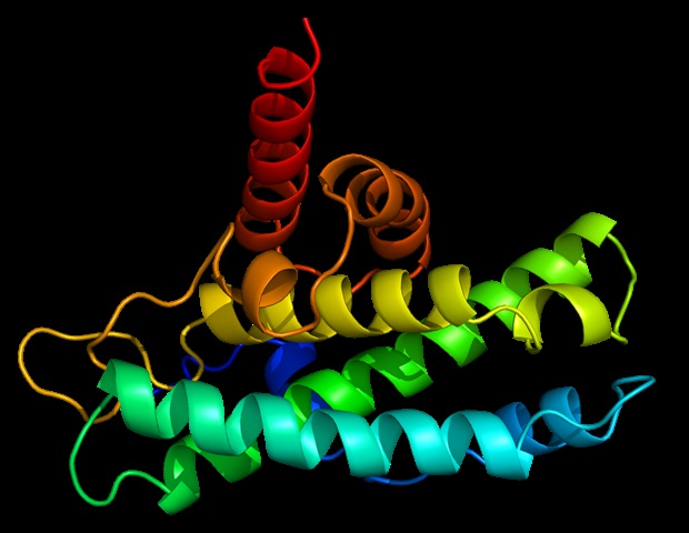 Peneliti mengembangkan teknologi untuk mengubah identitas protein secara in vivo